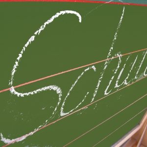 Artikel zum Thema Schule