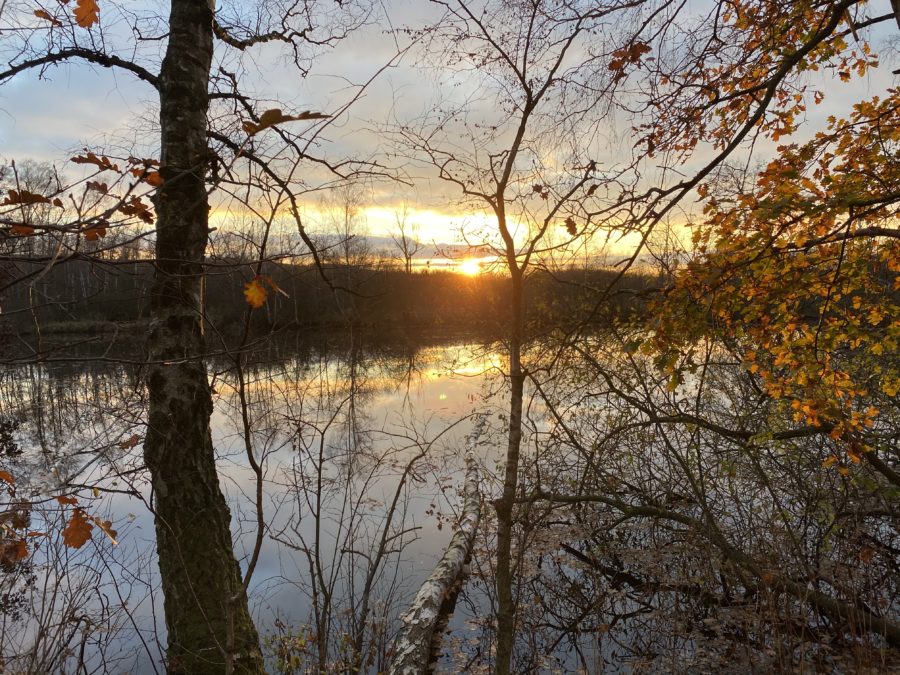 Sonnenuntergang im Moor
