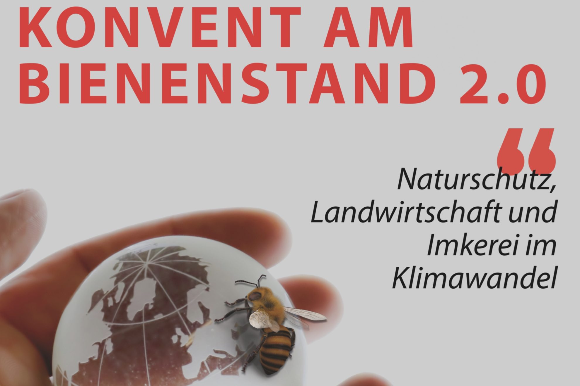 Fotos Bienenkonvent