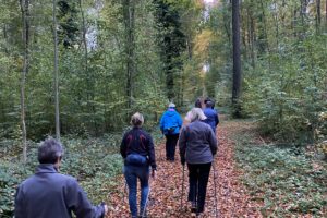ZF Betriebssport Nordic Walking Im Stemweder Berg