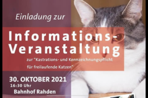 Information Tierschutz Katzen