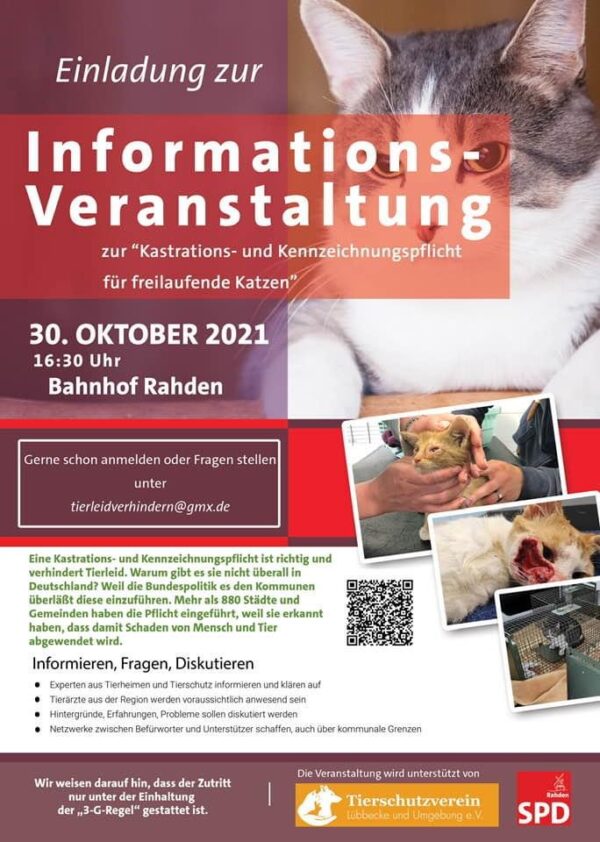 Flyer Information Tierschutz Katzen